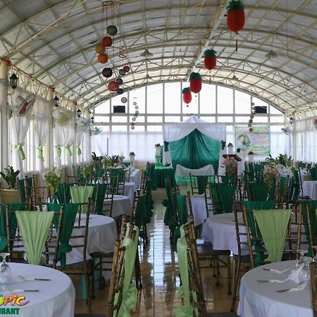 Island Tropic Hotel And Restaurant Alaminos Exterior photo